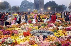 Spring Festival